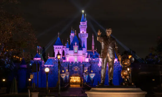 Disneyland Adds New Advisory Warning After Uptick in Fights at Park