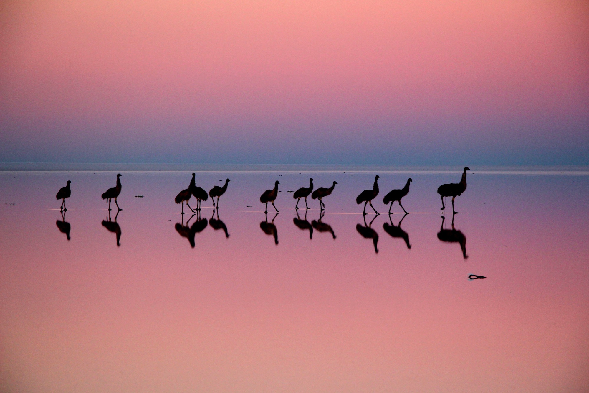 Epoch Times Photo