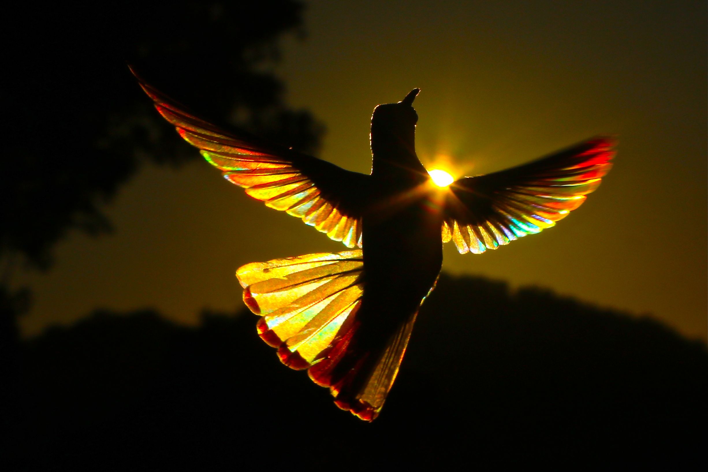 Epoch Times Photo