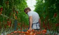 Is the ‘Organic’ Produce You’re Buying Really Organic?