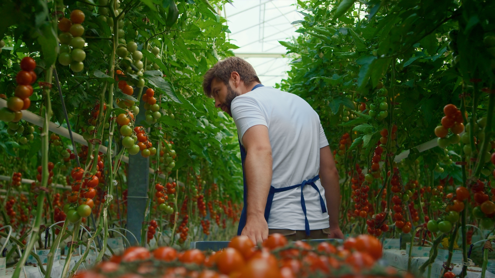 Is the 'Organic' Produce You're Buying Really Organic? - Vimarsana News