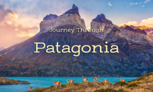 Journey Through Patagonia | Documentary