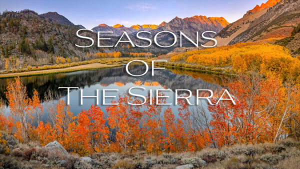 Seasons of the Sierra | Documentary