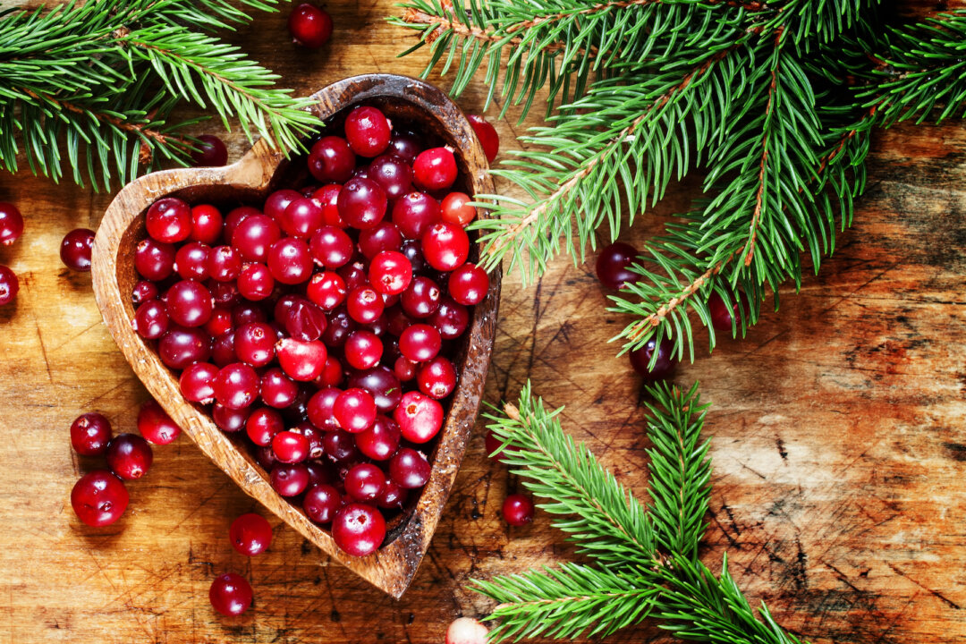 Eating cranberries may slow cognitive decline and improve memory function (5PH/Shutterstock)