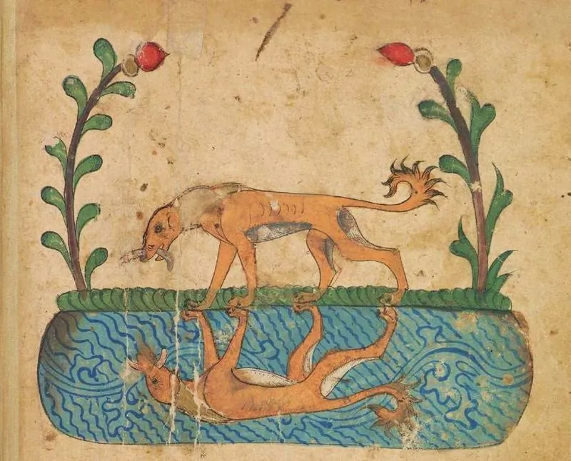 An illustration of the story "A Dog and His Bone" from an ancient Arabic collection of fables "Kalila and Dimna." (Public Domain)