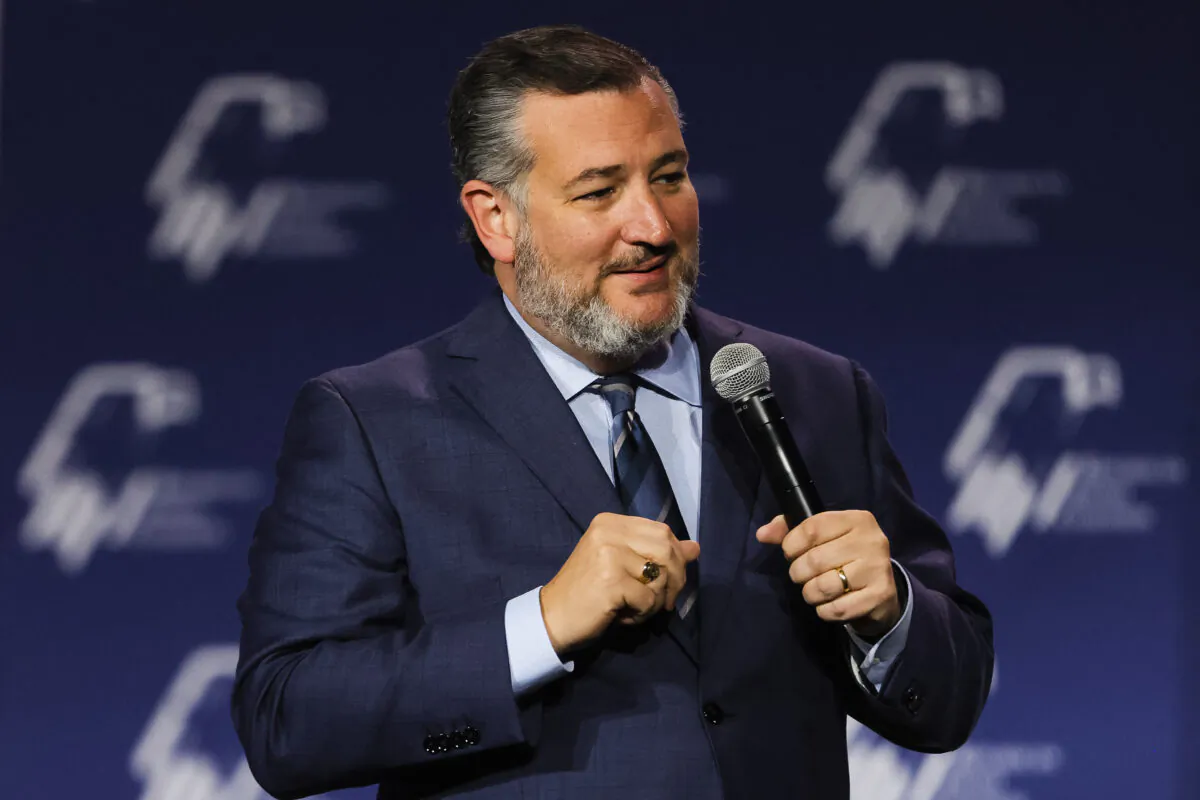 Sen. Ted Cruz (R-Texas) speaks at the Republican Jewish Coalition Annual Leadership Meeting in Las Vegas on Nov. 19, 2022. (Wade Vandervort/AFP via Getty Images)