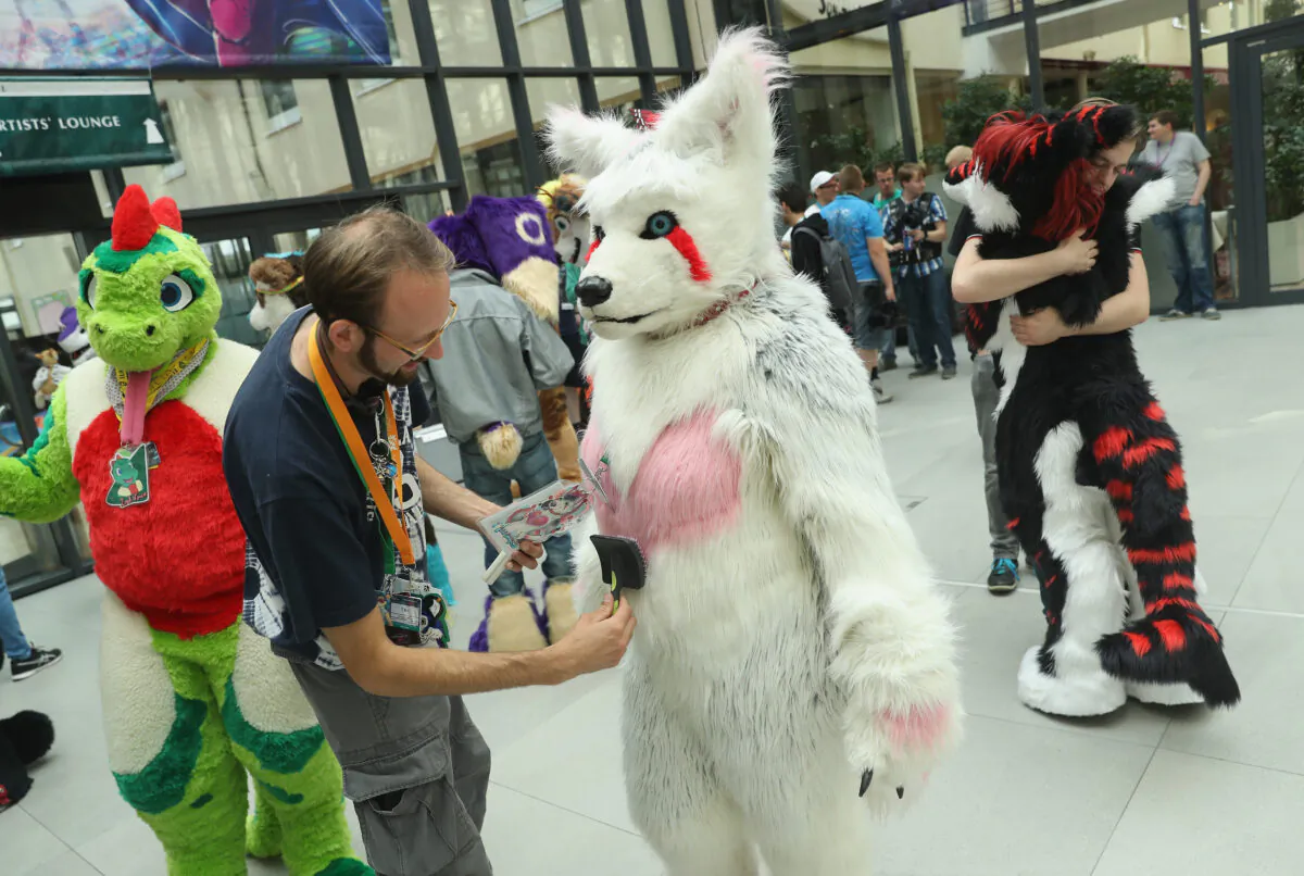 A furry allows himself or herself to be brushed at Eurofurence in Berlin, Germany, on Aug. 17, 2016. (Sean Gallup/Getty Images)