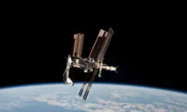 UCSD Institute To Study Blood Stem Cell Aging Aboard NASA Mission