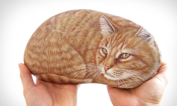 PHOTOS: Artist Paints Realistic Animal Portraits With Uncanny Accuracy on Rocks