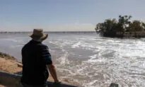 Calls for States to Boycott the Federal Government’s Water Rights Intervention