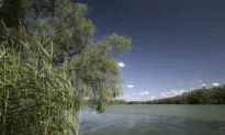 Farmers Warn Water Buyback Scheme Could Drive up Food Prices