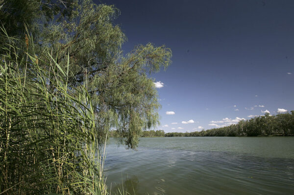 Epoch Times Photo