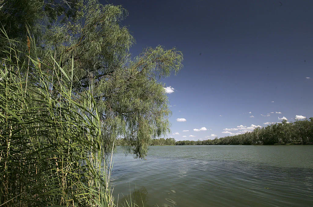 A view of the Murray River at Wentworth along the border of New South Wales and Victoria in Australia on Feb. 21, 2007.
(Robert Cianflone/Getty Images)