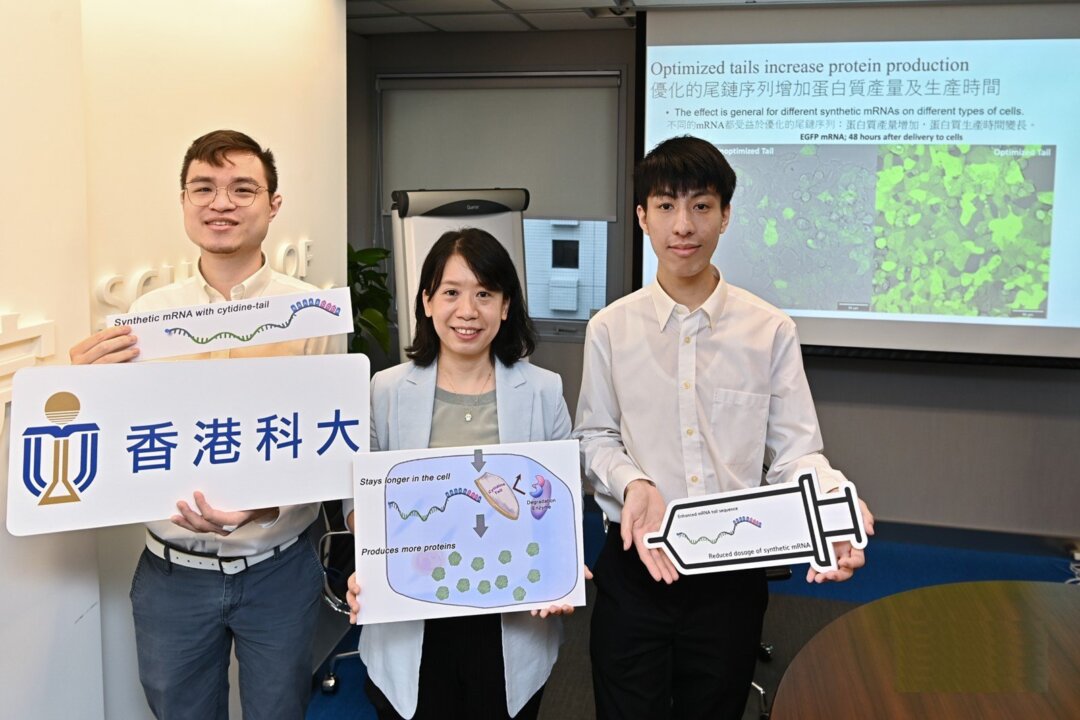 HKUST developed new technology that could increase synthetic mRNA’s protein production efficiency, which means the effectiveness of cancer treatments and  COVID-19 vaccines could then be strengthened. (Sung Pi-Lung)