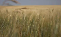 New Sask. Legislation Requires Federal Employees to Comply With Trespass Laws or Be Fined $200K