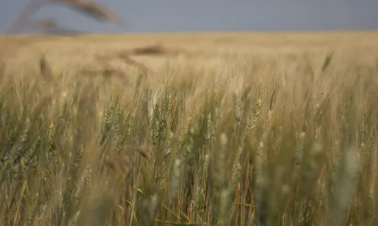 New Sask. Legislation Requires Federal Employees to Comply With Trespass Laws or Be Fined $200K