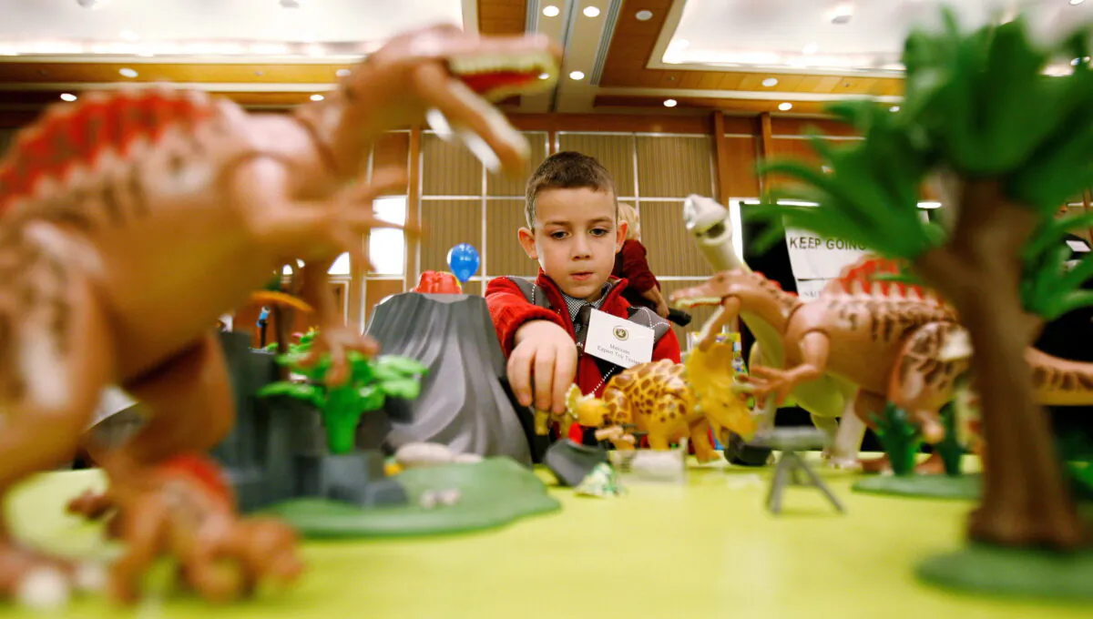 A boy plays with Playmobil Dinosaurs during the Canadian Toy Testing Council's 2009 award-winning toy press conference in Ottawa on Nov. 14, 2008. (Sean Kilpatrick/The Canadian Press)
