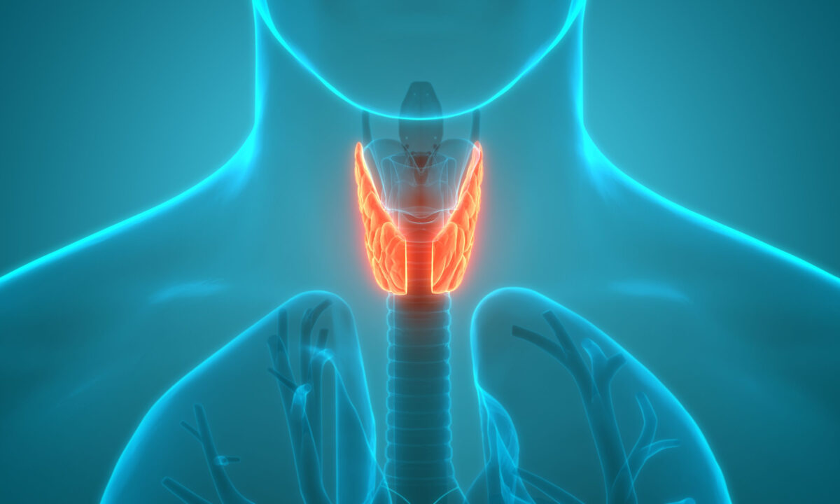 3 Top Causes for Hypothyroidism