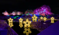 Taking the Kids: To See the Best and Brightest Holiday Lights