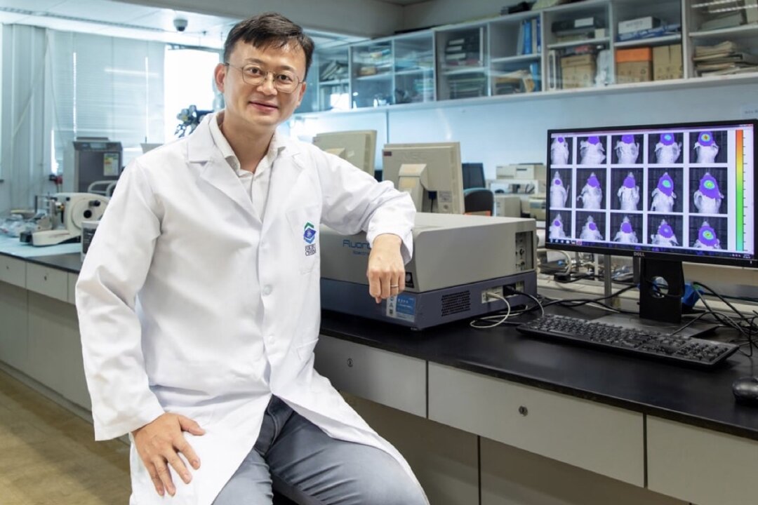 A research team led by Assistant Professor Wang Yi (pictured) of HKBU's Department of Chemistry, and Professor Law Ga-lai of PolyU's Department of Applied Biology and Chemical Technology has synthesized a novel near-infrared (NIR) persistent luminescent (PL) nanoparticle called TRZD, which can be used as a target for glioma, imaging diagnostic and therapeutic drug carrier. (Courtesy of Baptist University)
