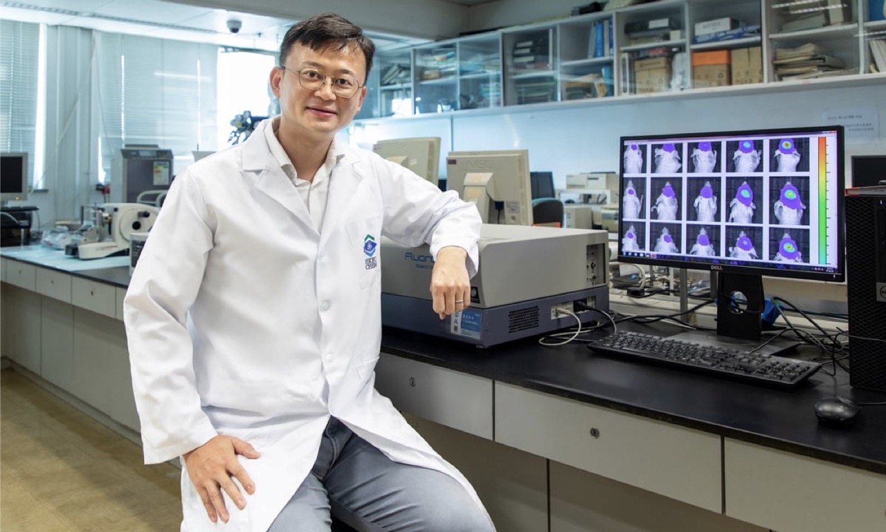 Synthesized Multifunctional Nanoparticles for Diagnosis and Treatment of Brain Glioma - Vimarsana News
