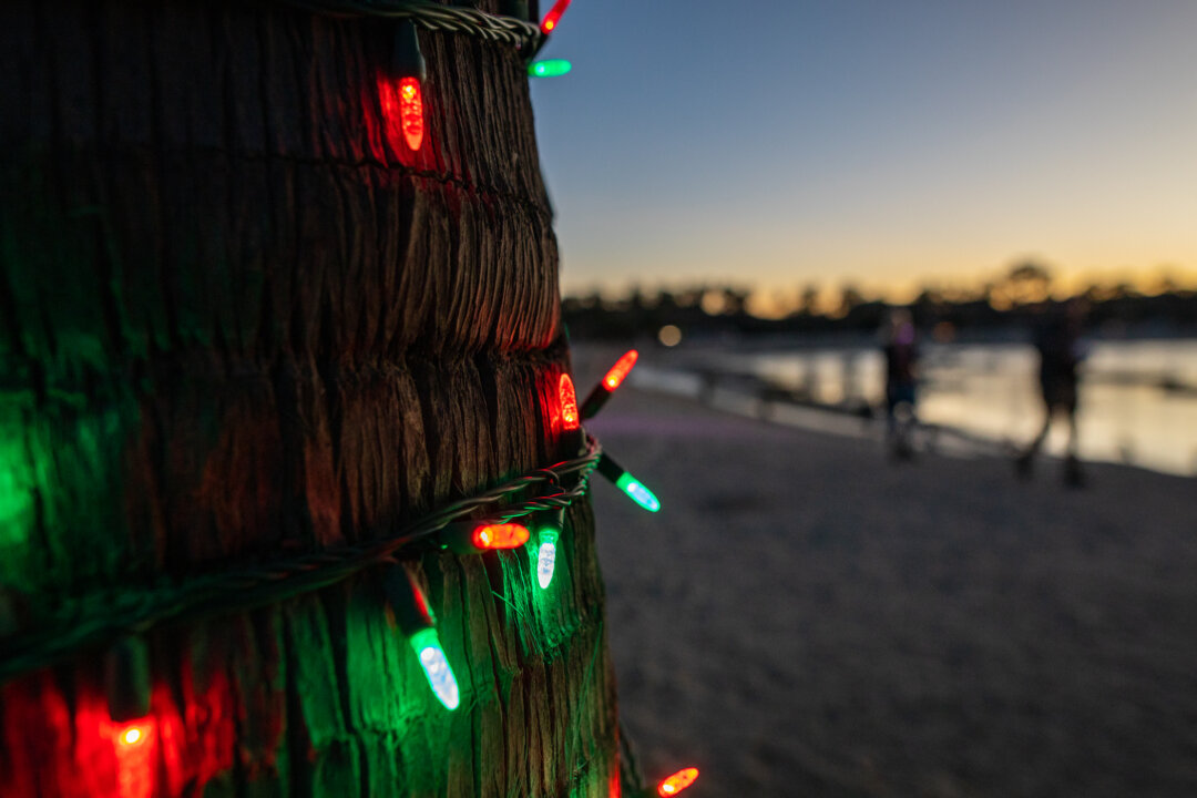 fun-things-to-do-in-orange-county-this-weekend-the-epoch-times