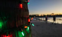 Fun Things to Do in Orange County This Weekend