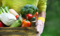 We’re Told to ‘Eat a Rainbow’ of Fruit and Vegetables. Here’s What Each Color Does in Our Body
