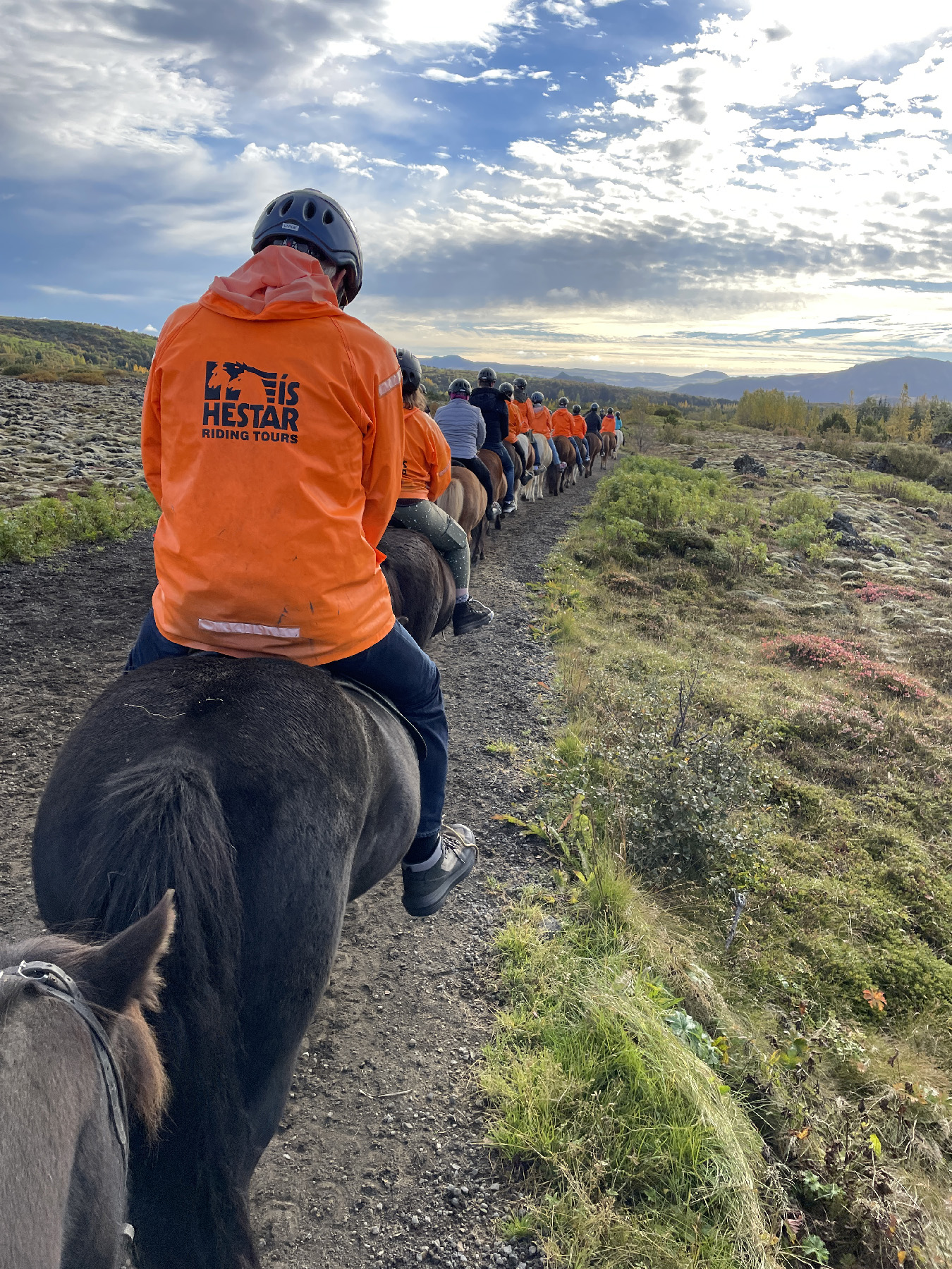 Iceland learn to tolt on a morning ride across the lava fields.