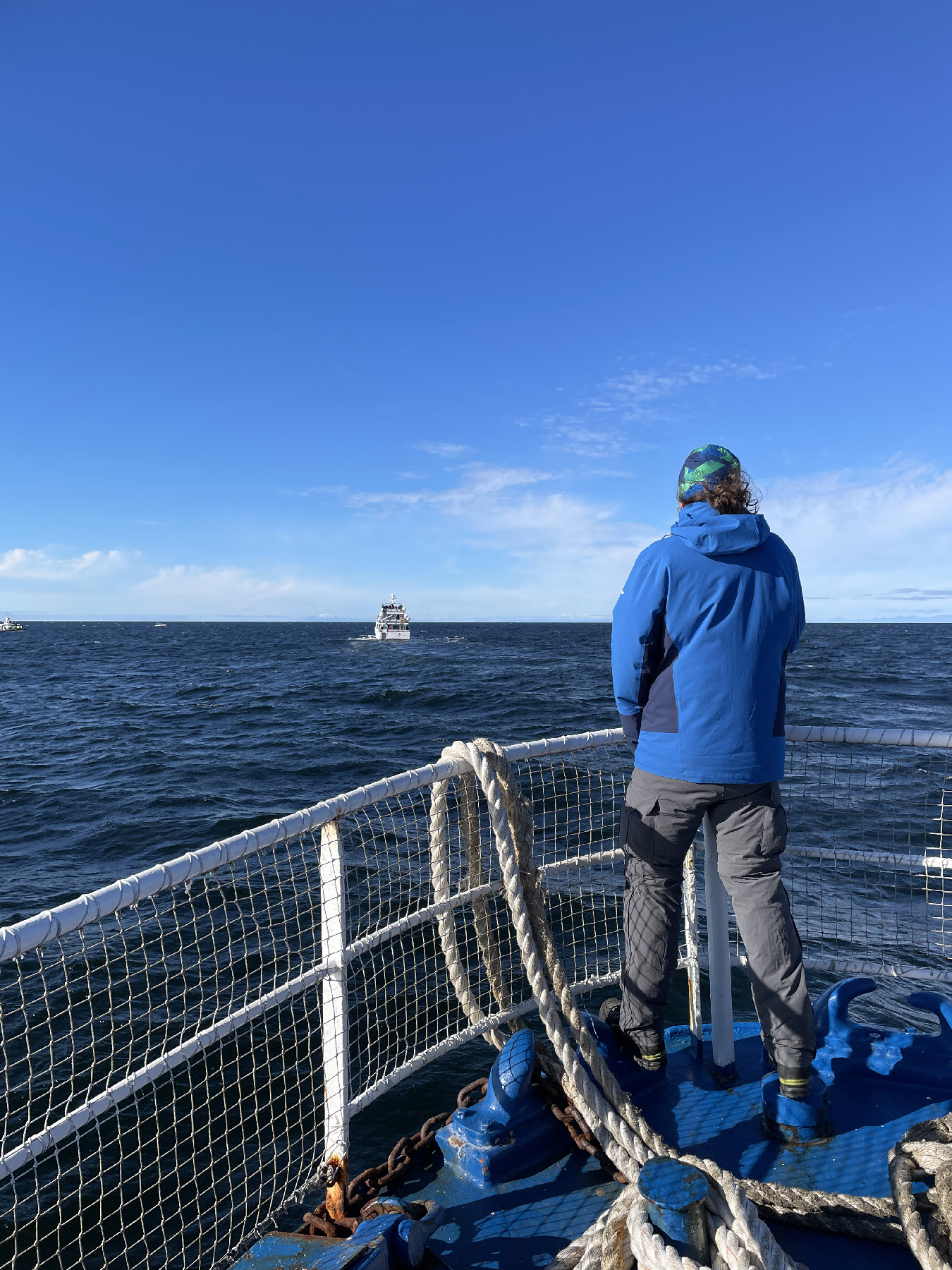 A visitor watches the water for white-beaked dolphins and minke whales off the coast of Reykjavik, Iceland.