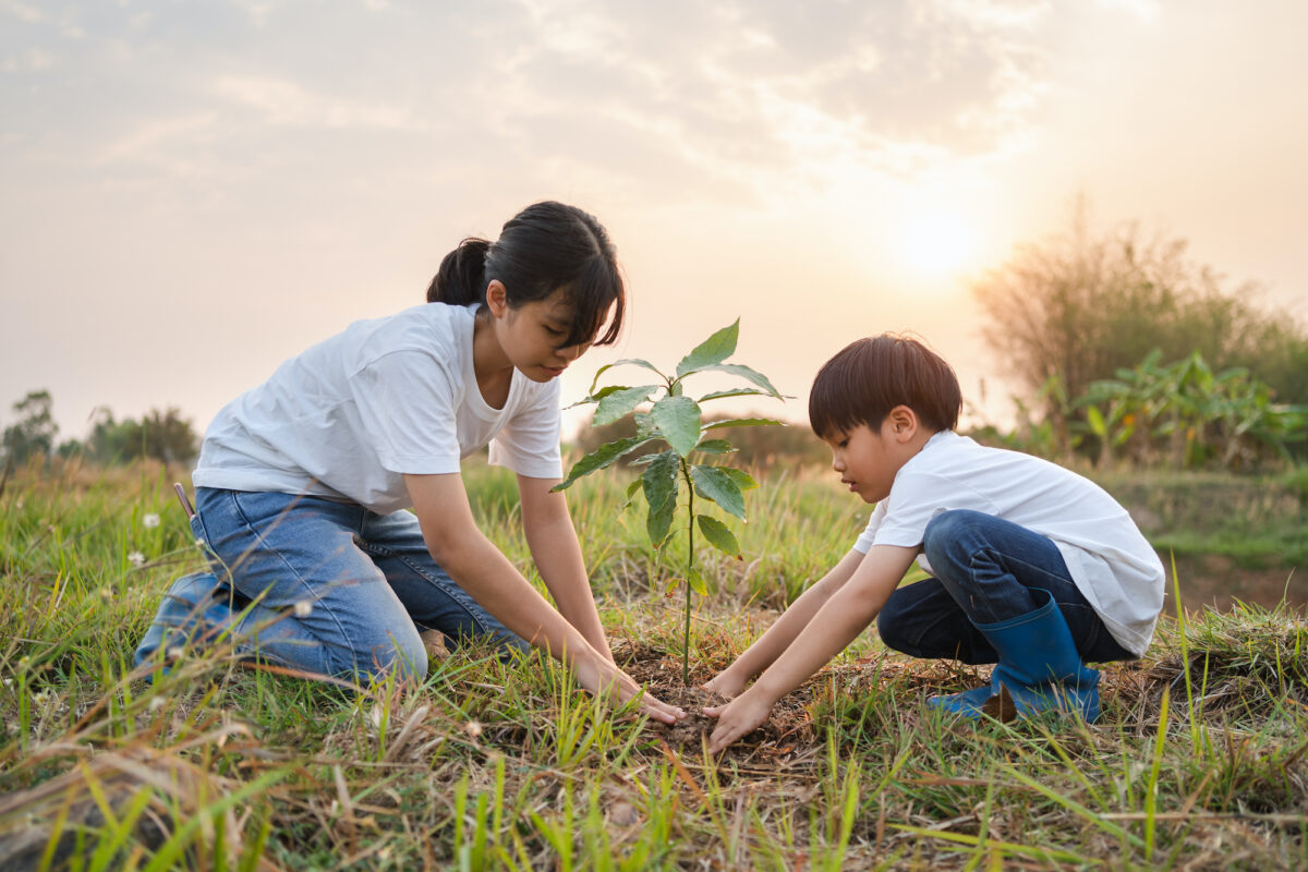 NextImg:On Saving Money and Spreading Manure