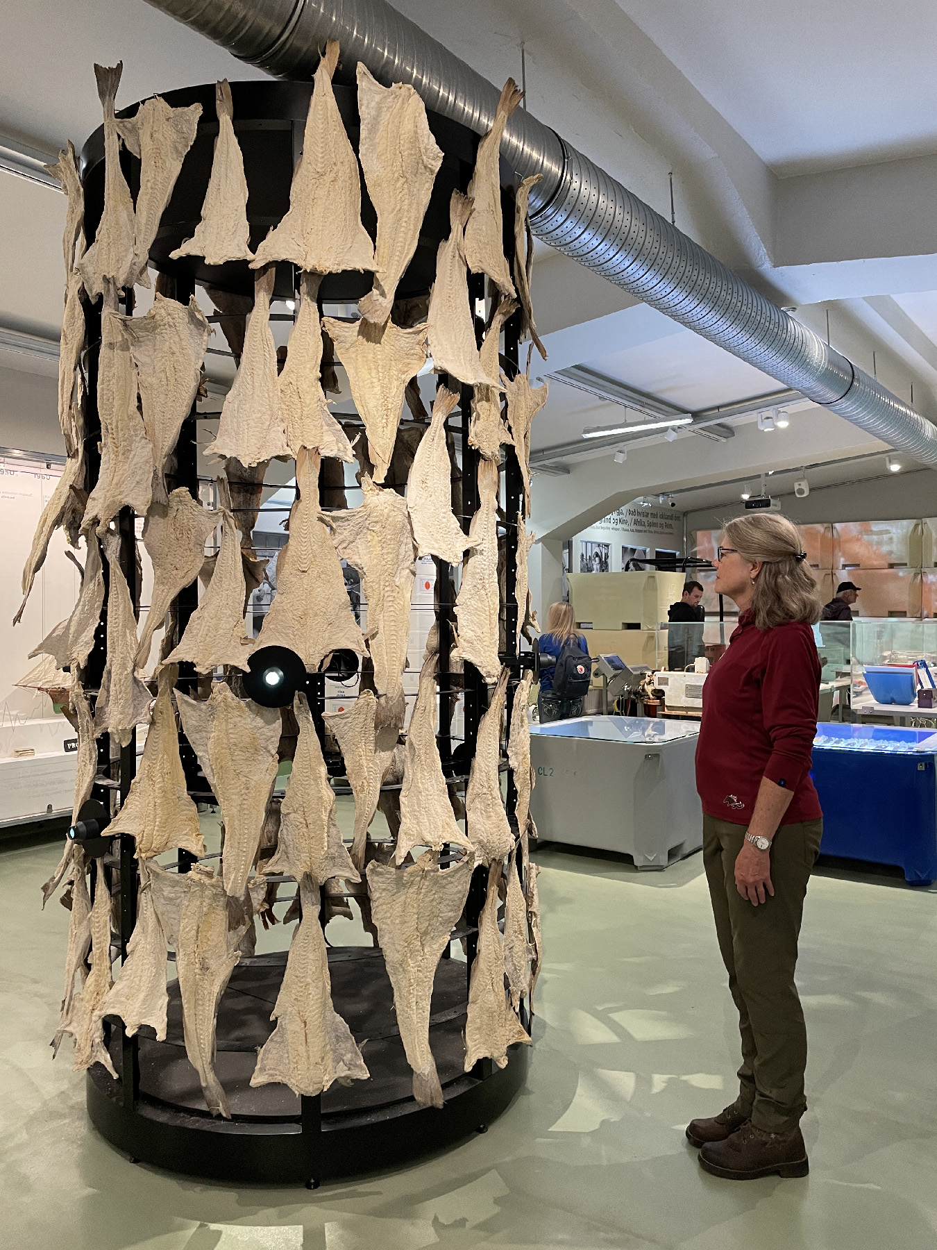 A visitor at Reykjavik’s Maritime Museum stands by a display of salted fish like those her grandparents once enjoyed.