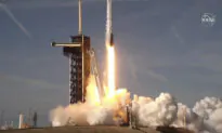 SpaceX Delivers Tomato Seeds, Other Supplies to Space Station
