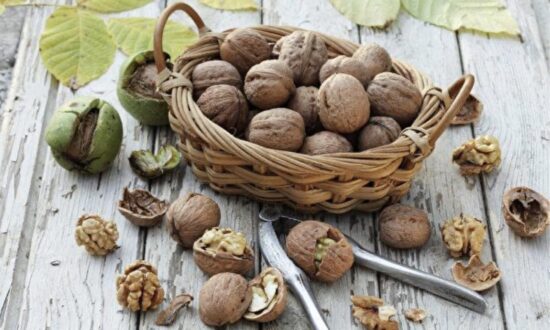 Study: Eating Walnuts Reduces Cardiovascular Disease Risks and Enhances Longevity