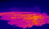 Hawaii’s Mauna Loa Volcano Erupts; US Agency Issues ‘Code: Red’ Warning