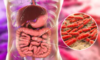 The Potential Harm in Unnecessary Gluten-Free Diets