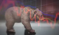 Investing: Learning to Live With the Bear