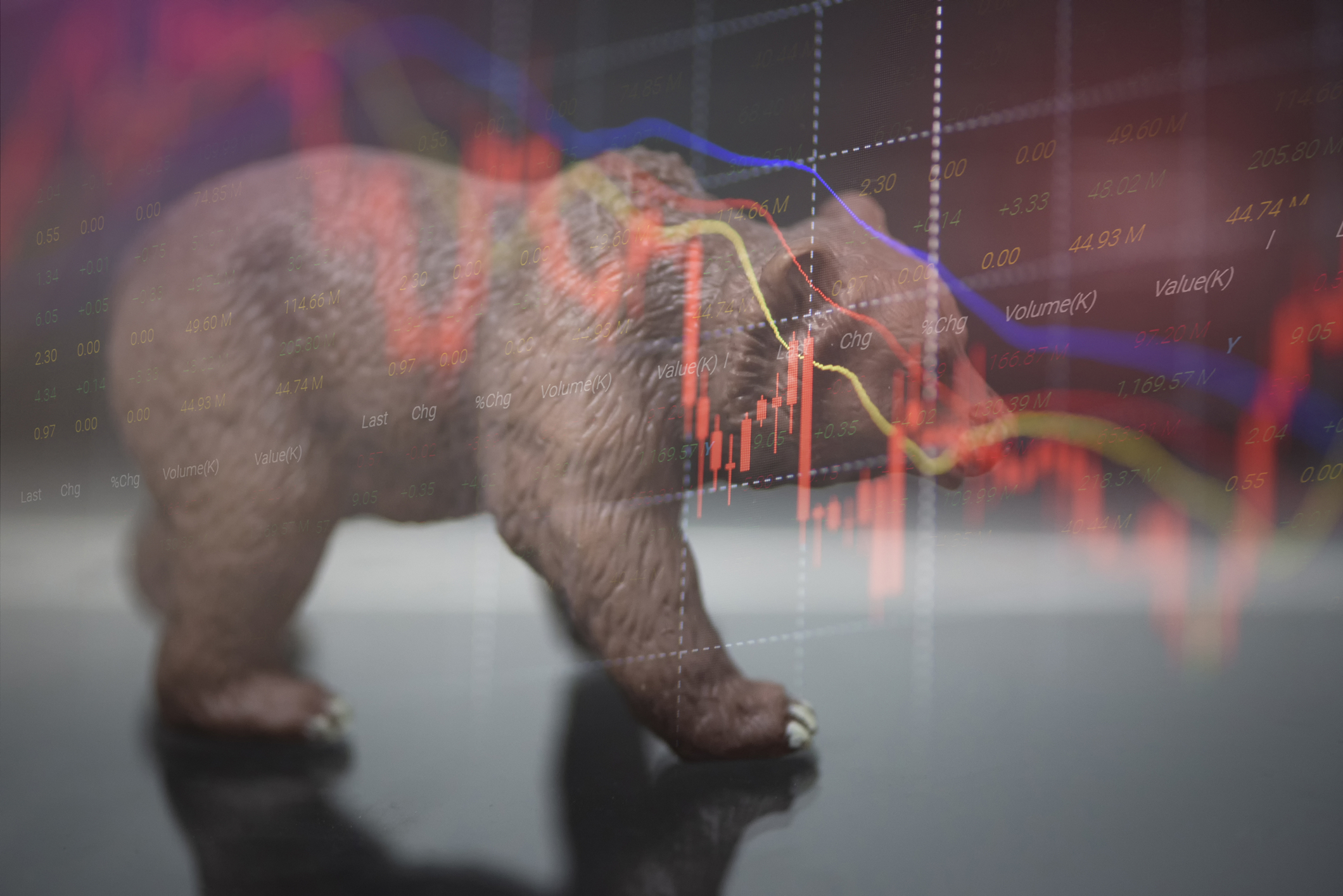 Investing: Learning to Live With the Bear - Vimarsana News