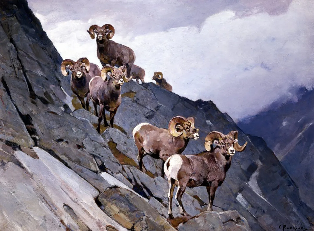 Carl Rungius (Germany, 1869–1959), “In the Clouds,” circa 1940. Oil on canvas. 30 inches by 40 inches. JKM Collection, National Museum of Wildlife Art. (Copyright estate of Carl Rungius)