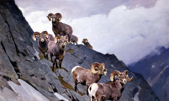 Beauty Is a Vacation: Exploring the Works of Wildlife Artist Carl Rungius