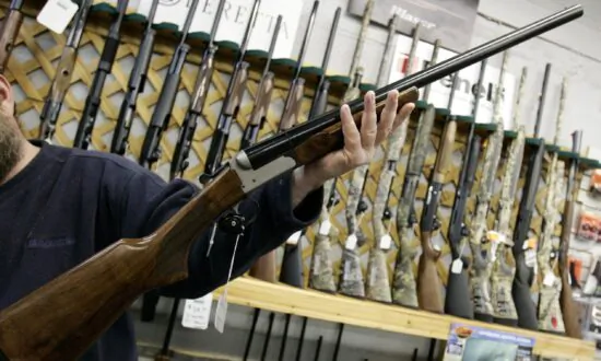 Proposed Gun Bill Will Restrict Hunters, Says Government Briefing Note