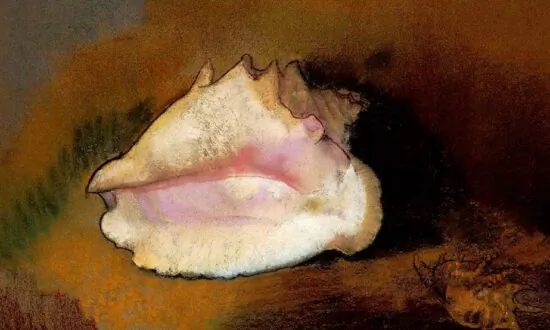 Book Recommendation: ‘Gift From the Sea’: Inspiration From Seashells