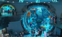 SeaWorld Abu Dhabi, Company’s First Overseas Park, to Debut in 2023