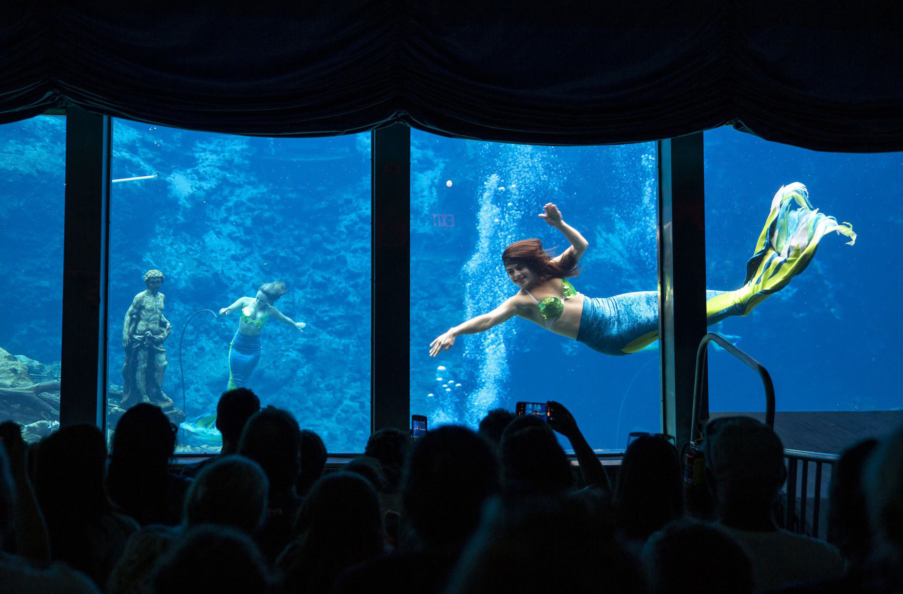 A Wachee mermaid swimming in water behind glass
