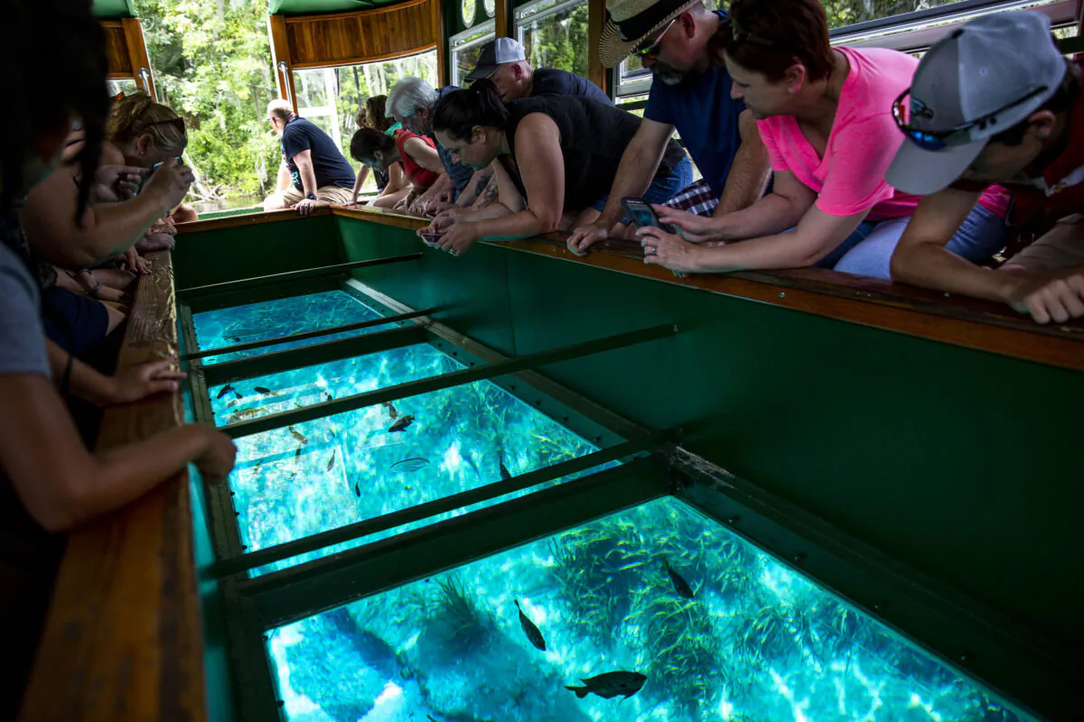 Visitors take a glass-bottom boat tour at Silver Springs State Park in 2019, in Florida. (Patrick Connolly/Orlando Sentinel/TNS)