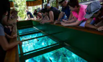 Gifts for Travelers: Florida State Parks, Tank America and the Great American Paint in Book
