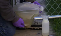 Wastewater Tests Can Find Mpox, Study Finds. Expect More Bugs to Be Tracked That Way