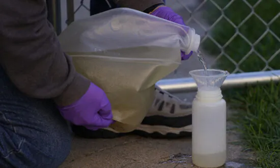 Wastewater Tests Can Find Mpox, Study Finds. Expect More Bugs to Be Tracked That Way