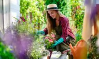 Christmas Gift Ideas for Gardeners