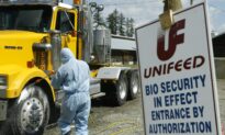 Sylvain Charlebois: Let’s Talk Turkey About Avian Flu
